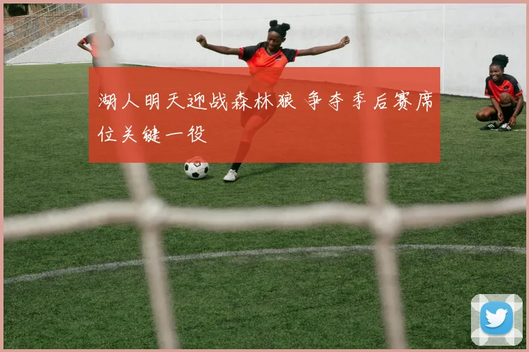 湖人明天迎战森林狼 争夺季后赛席位关键一役