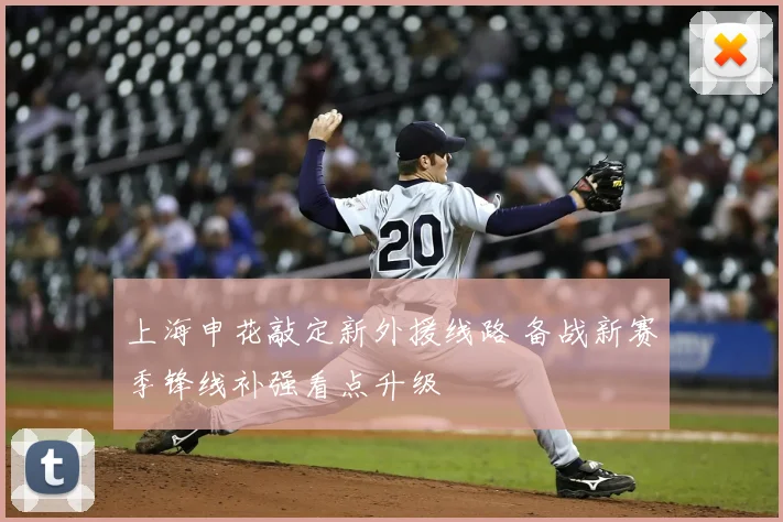 上海申花敲定新外援线路 备战新赛季锋线补强看点升级