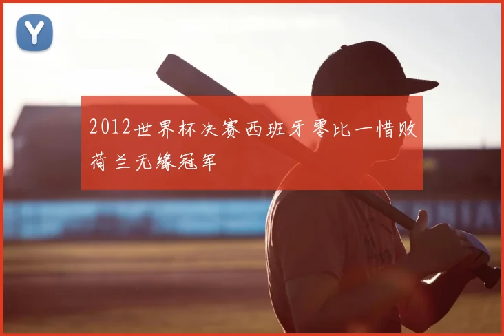 2012世界杯决赛西班牙零比一惜败荷兰无缘冠军