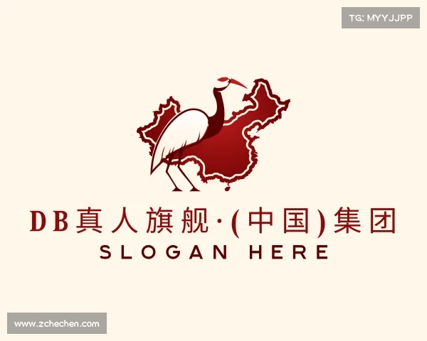 介绍DB真人旗舰·(中国)集团